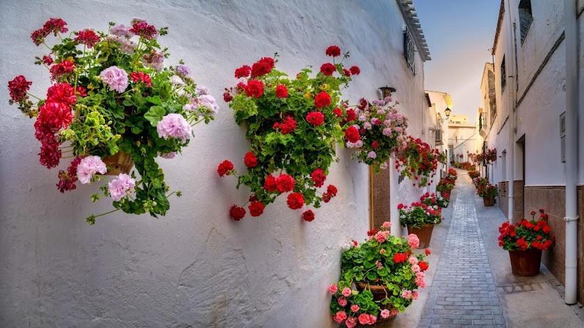 Hotel Montesion Luz Del Desierto 루카이네나데라토레스 외부 사진